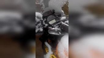 零下38度在线视频,挑战极限的冰雪奇缘