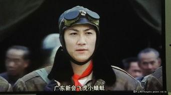 富贵兵团在线视频,传奇兵团的崛起与辉煌