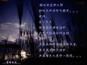 情殇在线视频观看网址,揭秘网络情感陷阱的惊心动魄之旅